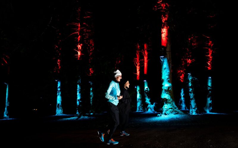 Impression vom Parkleuchten RUN